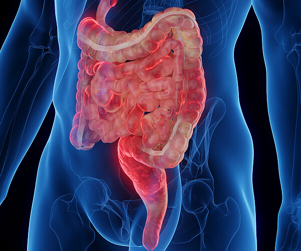 Zwar ist der Darm die Ursache, die Symptome beschränken sich jedoch nicht auf den Gastrointestinaltrakt: Chronisch entzündliche Darmkrankheiten können prinzipiell alle Organsysteme betreffen. Bild: Adobe Stock / Sebastian Kaulitzki
